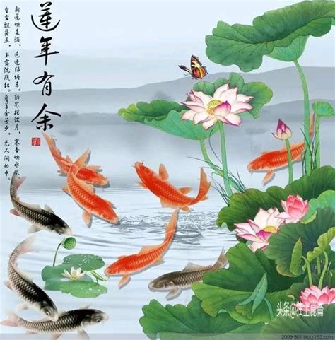 富貴九魚圖|（精美九魚圖）年年有魚，富貴豐盛